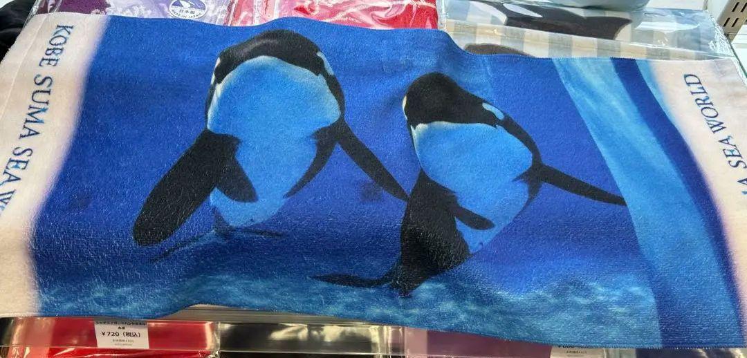 須磨シーワールド限定　フェイスタオル　ステラ　ランのセット　水族館　シャチ オルカスタディアム スタンドの限定販売 #シャチマフラータオル