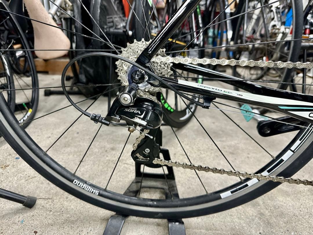 intenso基本分解発送