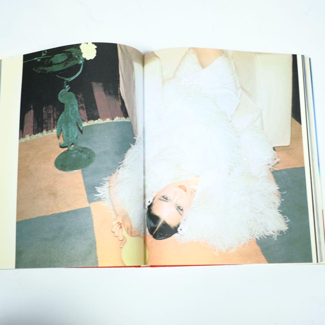David Bailey Chasing Rainbows デヴィッド・ベイリー