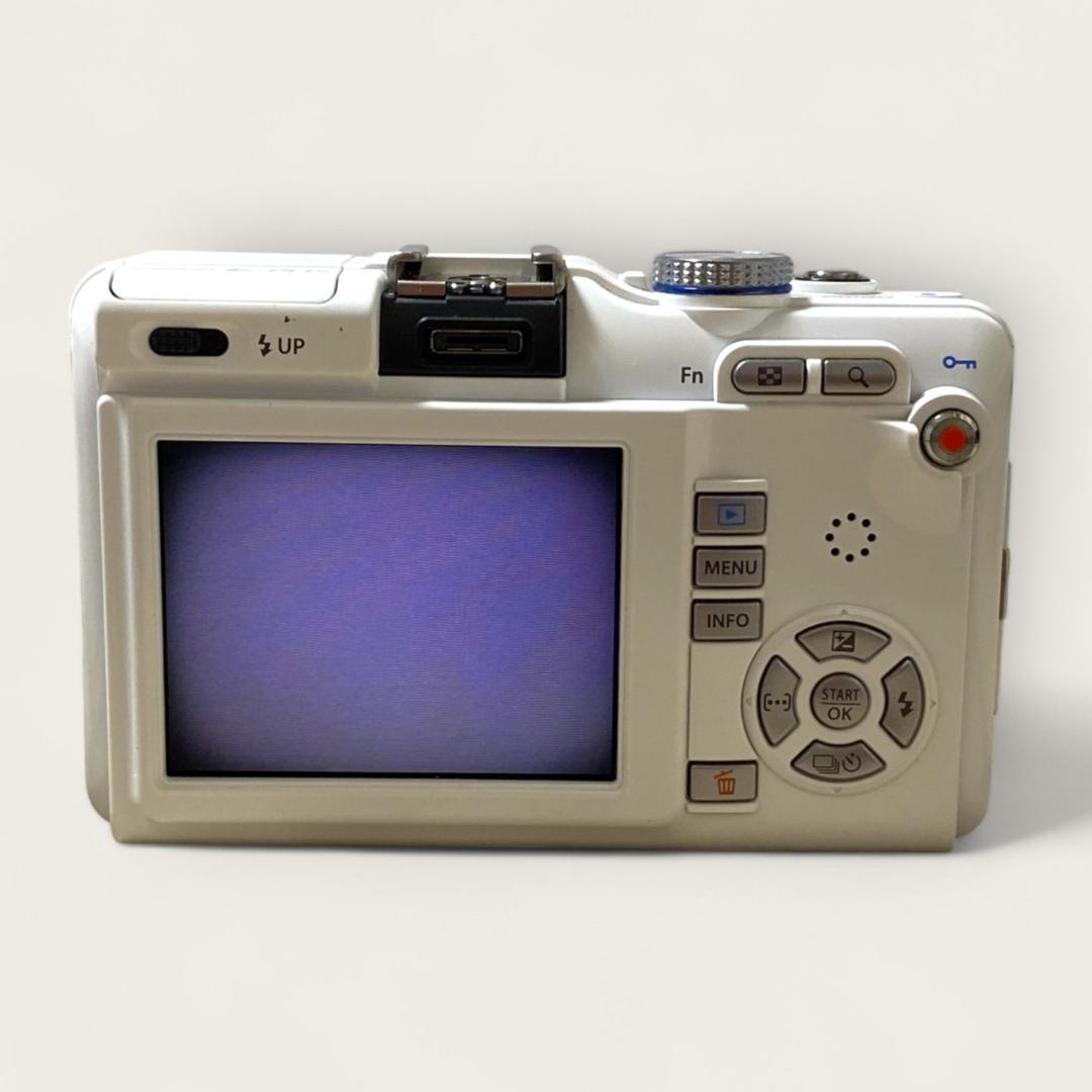 E-PL1s