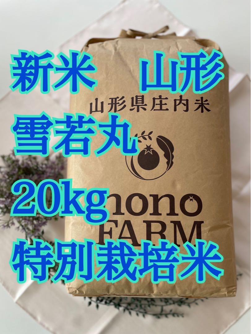雪若丸　20kg 新米　令和6年 山形　特別栽培米