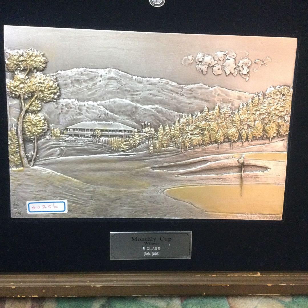 NO 256材質わ分かりません