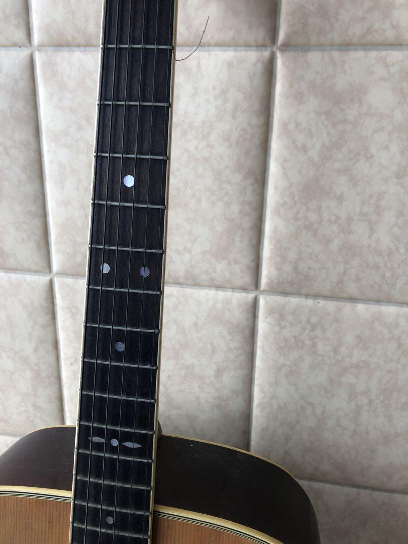 ギター TOKAI Humming Bird CUSTOM F-200(G53)