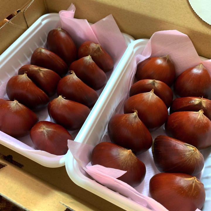 北海道産 ご希望用 商品説明欄を必ずお読み下さい umhWY-m80531468716 生栗 再入荷定番