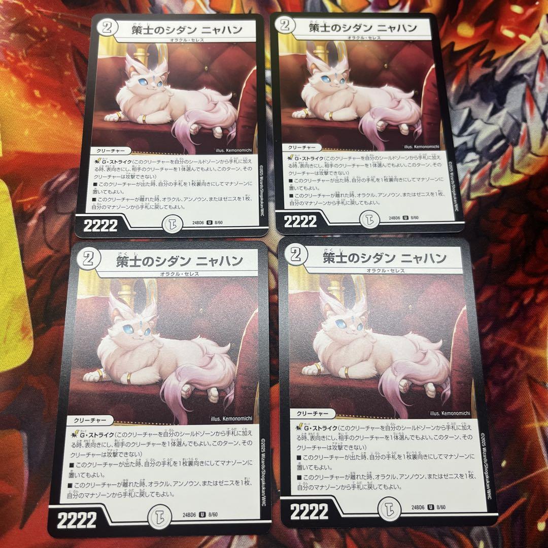 策士のシダン ニャハン 4枚