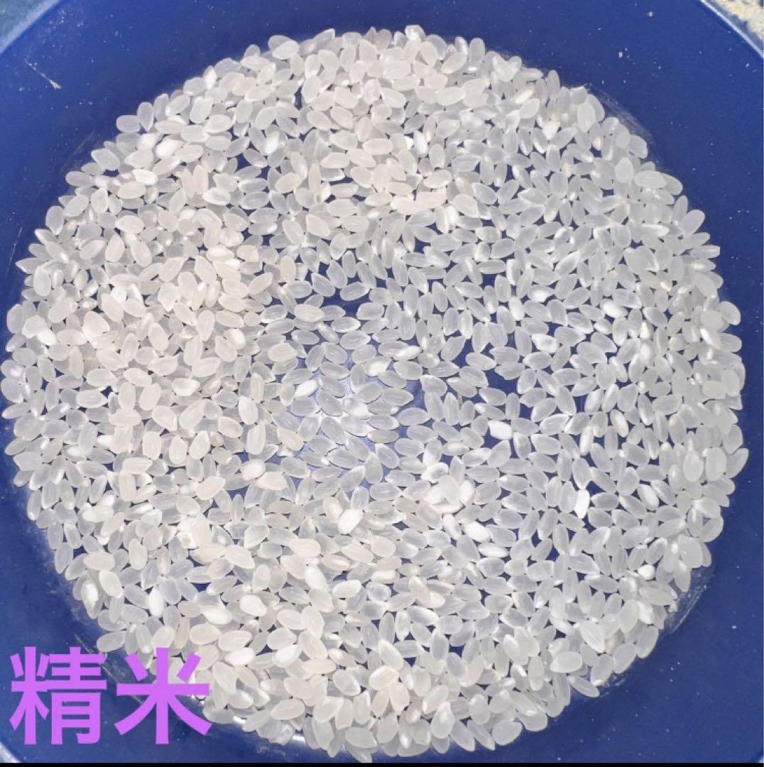 【令和6年産　新米】宮城県産ひとめぼれ　玄米20キロ送料無料