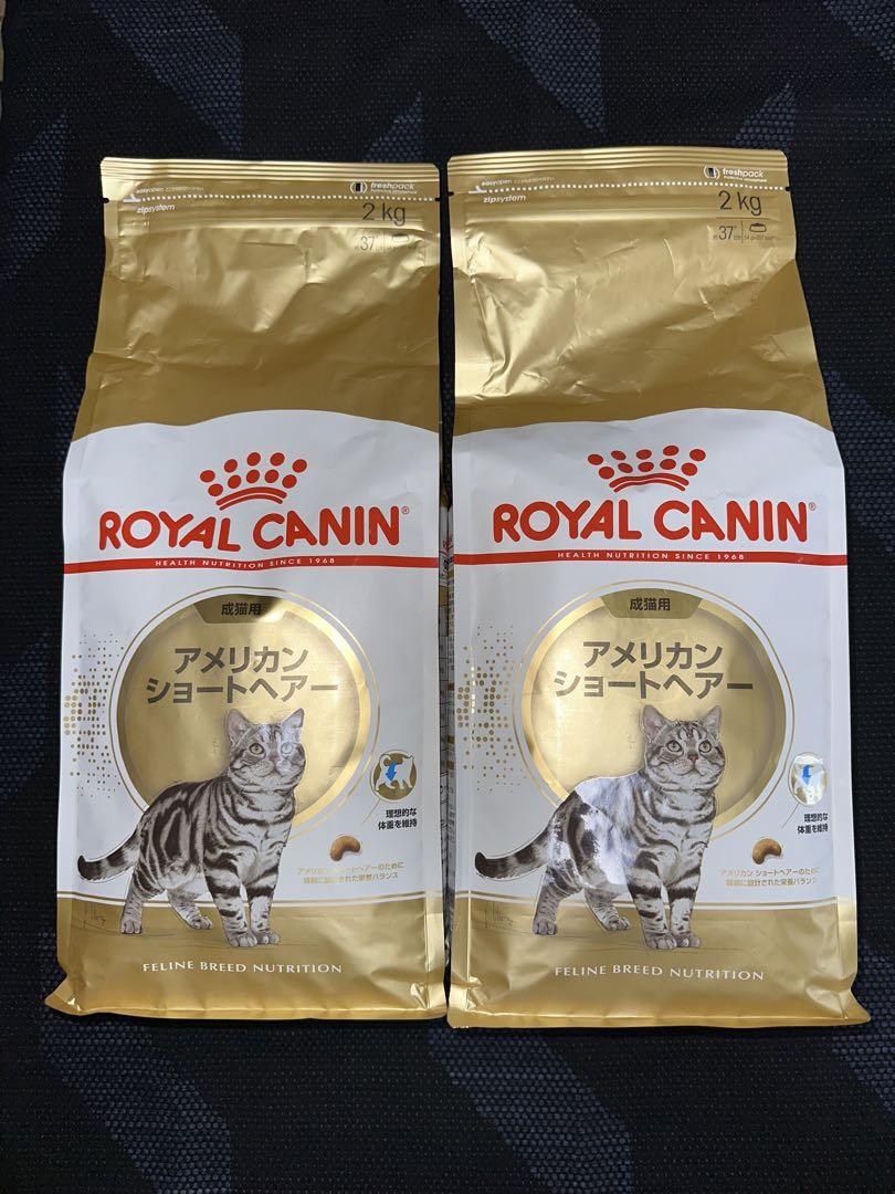 ロイヤルカナン アメリカンショートヘアー 2kg × 2個セット