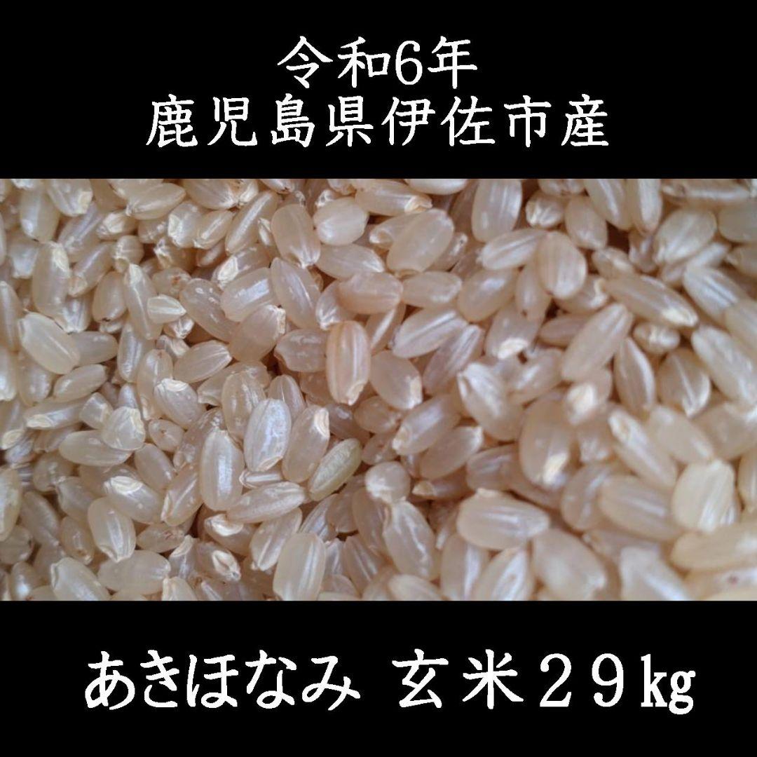 令和6年産 あきほなみ 玄米 29kg 鹿児島県伊佐市産