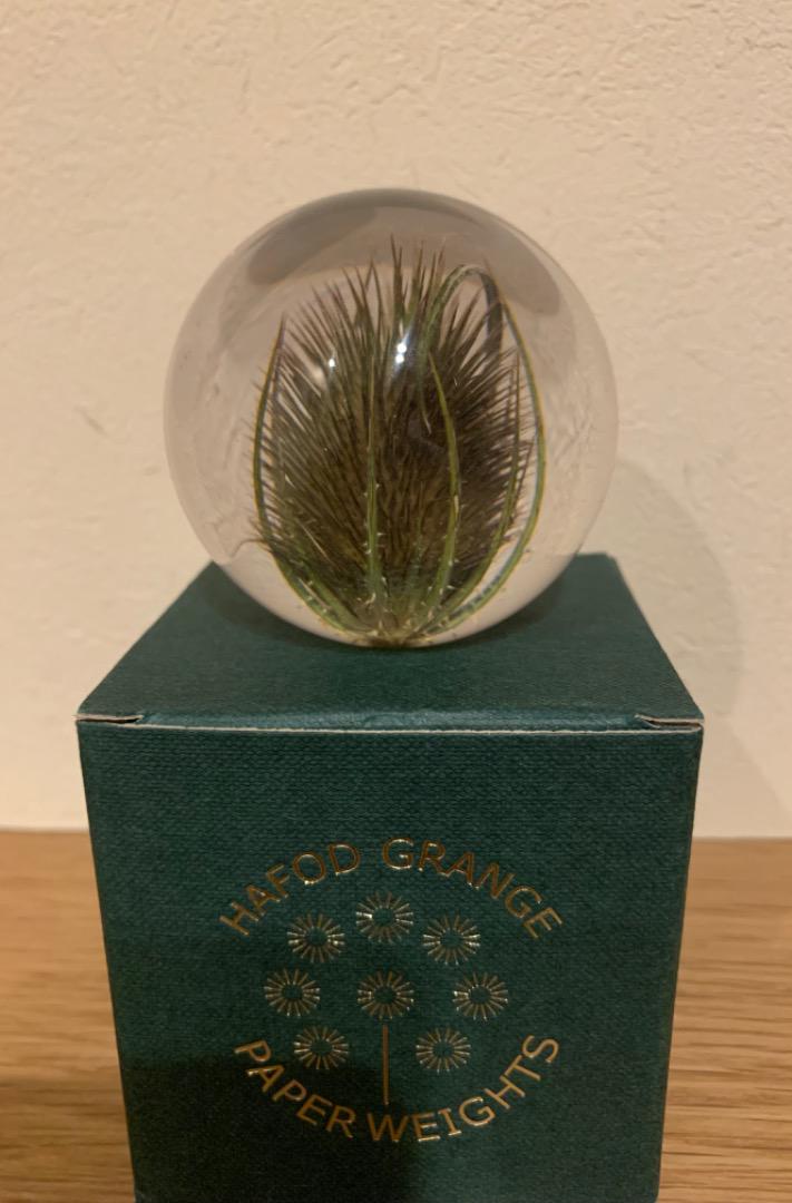 最終価格 HAFOD GRANGE Teasel オニナベナペーパーウエイト