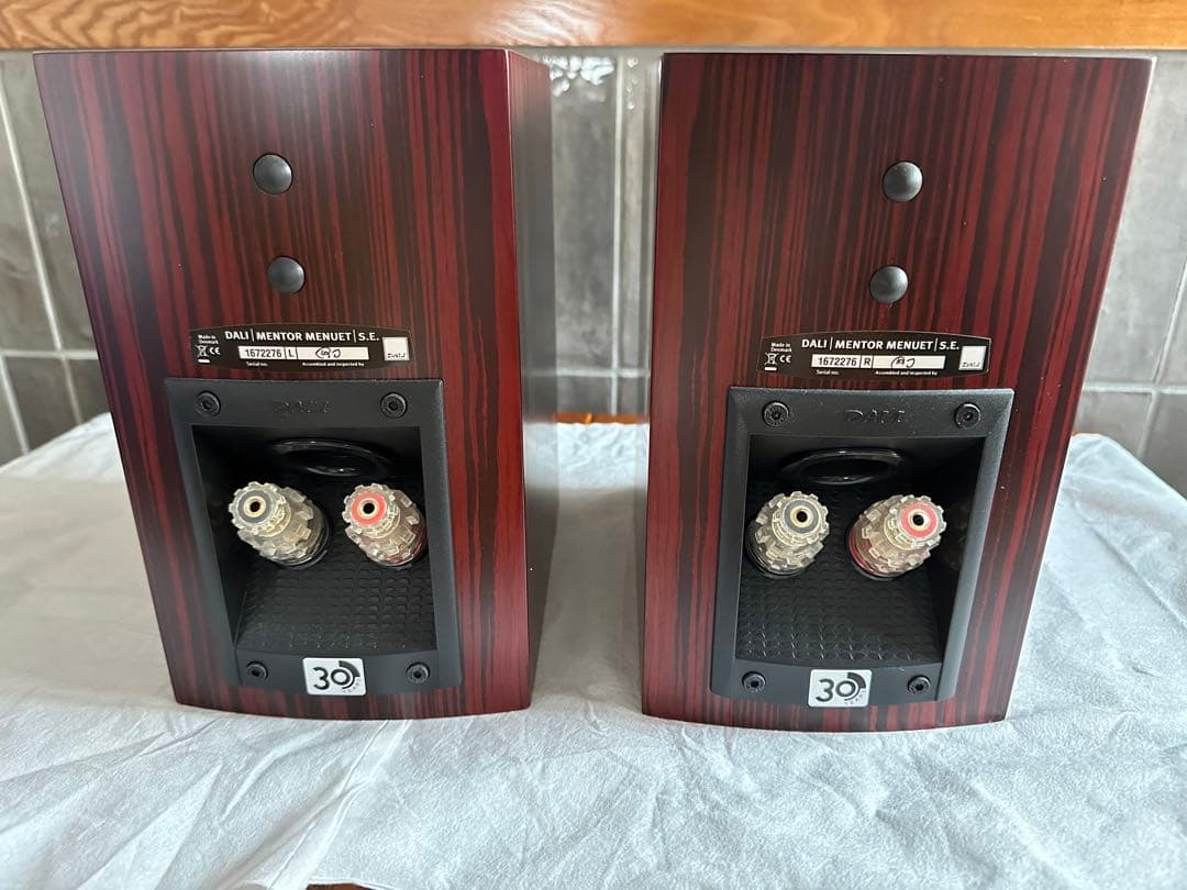 (ヒロ)DALI Mentor menuet SE 30th