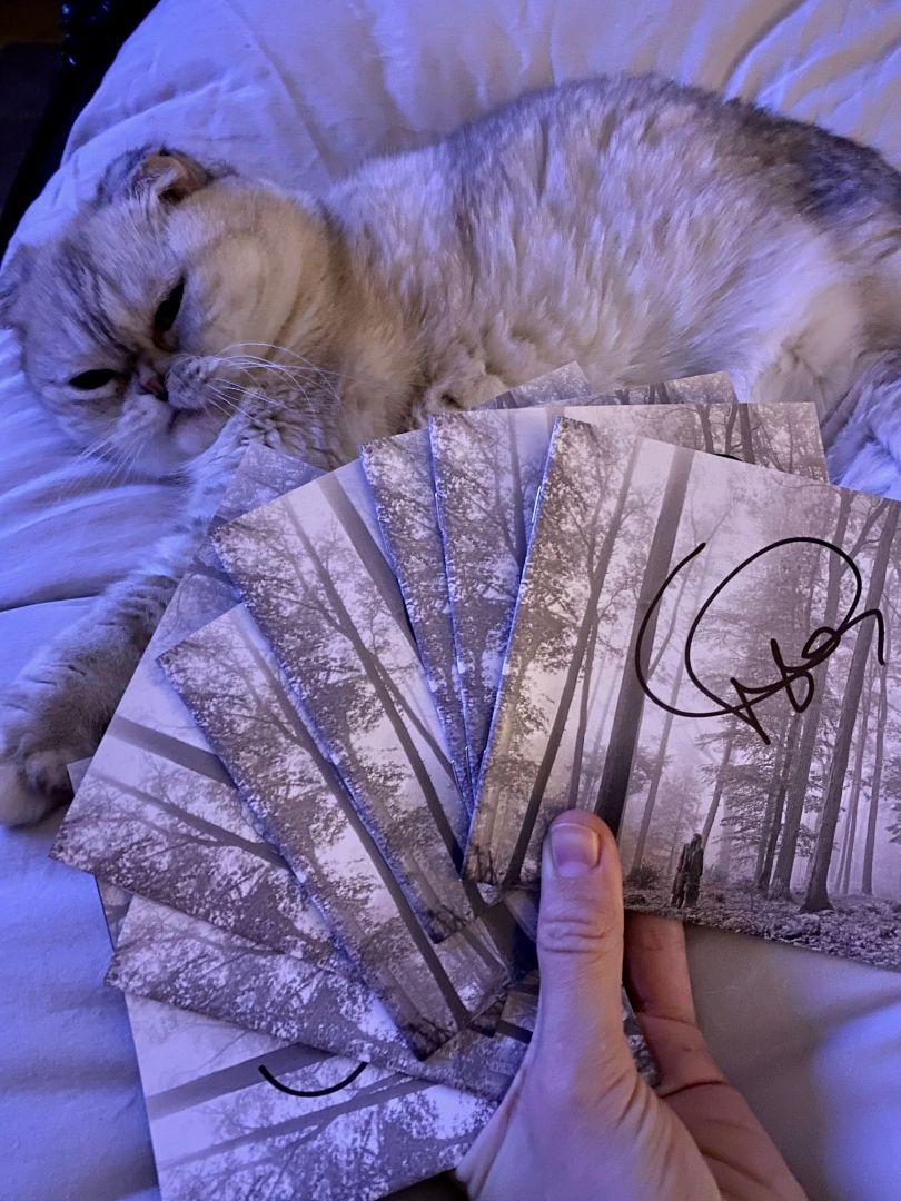 テイラースウィフトTaylor Swift folklore直筆サイン入りCD