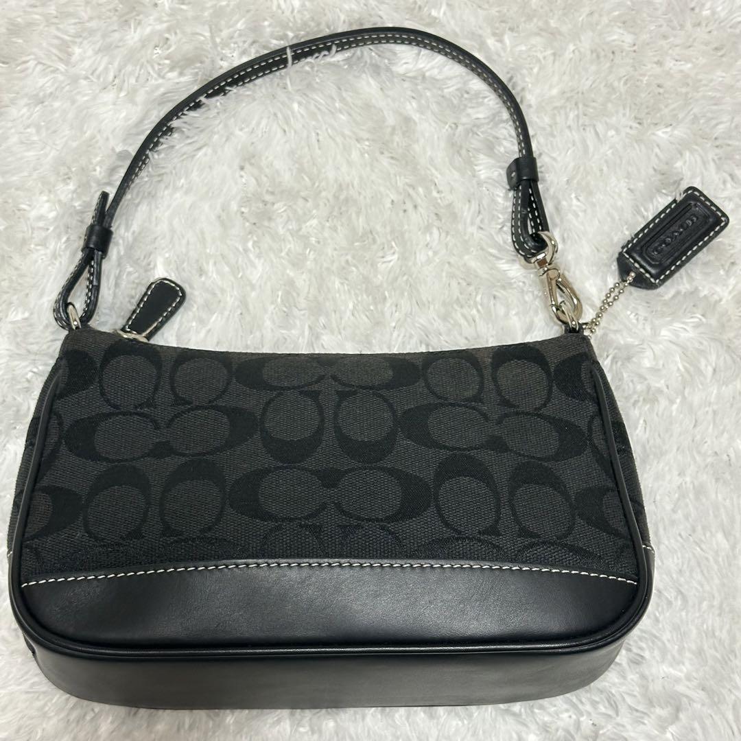 【美品】COACH アクセサリーポーチ　ハンドバッグ　6094 COACH - 美品 コーチ アクセサリーポーチ ワンショルダー
