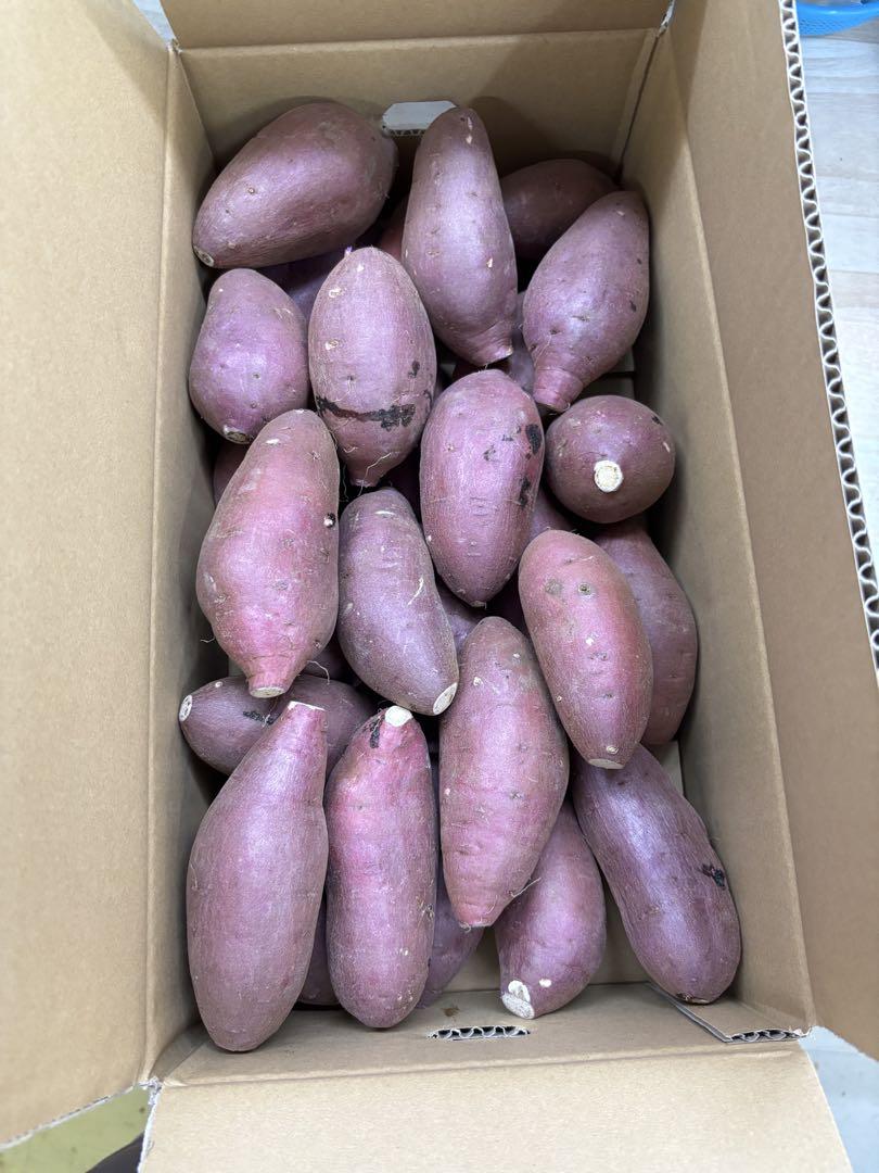 A品　農薬不使用　MからLサイズ　紅はるか10キロ