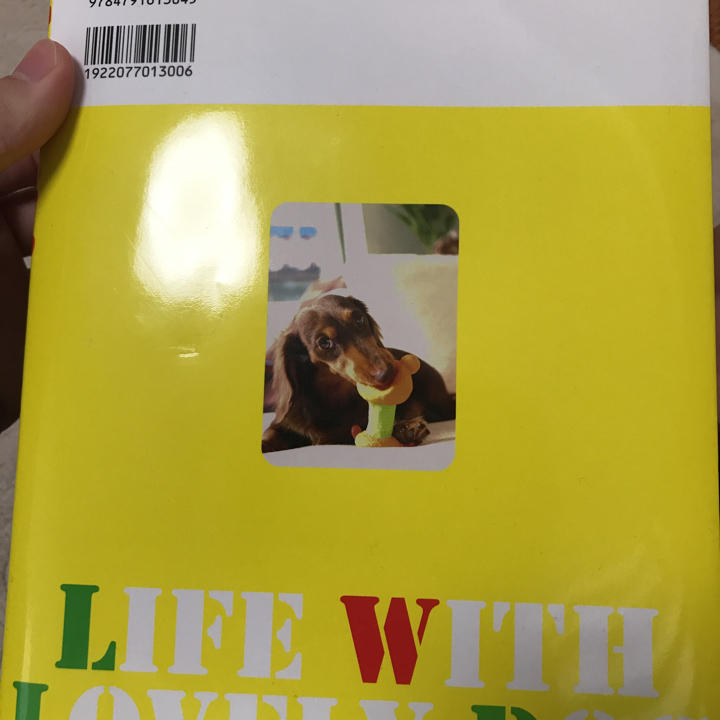 室内犬の飼い方・しつけ方 矢崎 潤