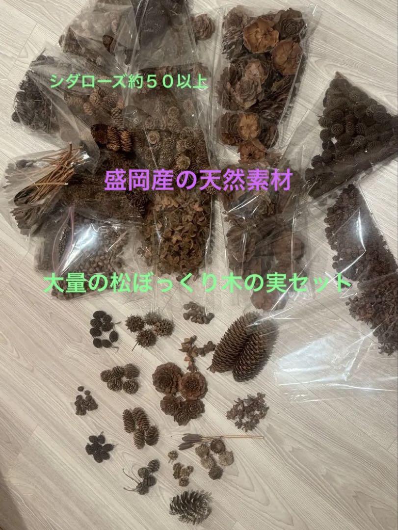 大量の松ぼっくり＆木の実セット」