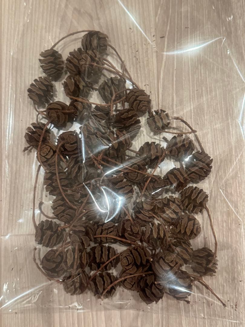 大量の松ぼっくり＆木の実セット目立った傷や汚れなし