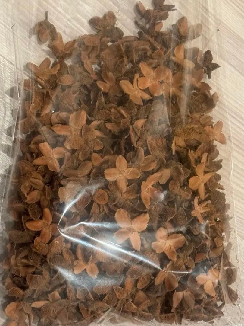 大量の松ぼっくり＆木の実セット目立った傷や汚れなし