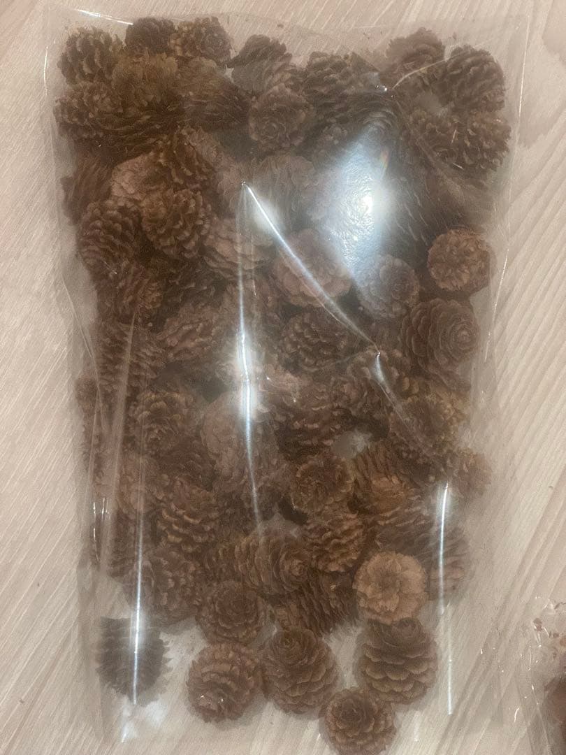 大量の松ぼっくり＆木の実セット目立った傷や汚れなし