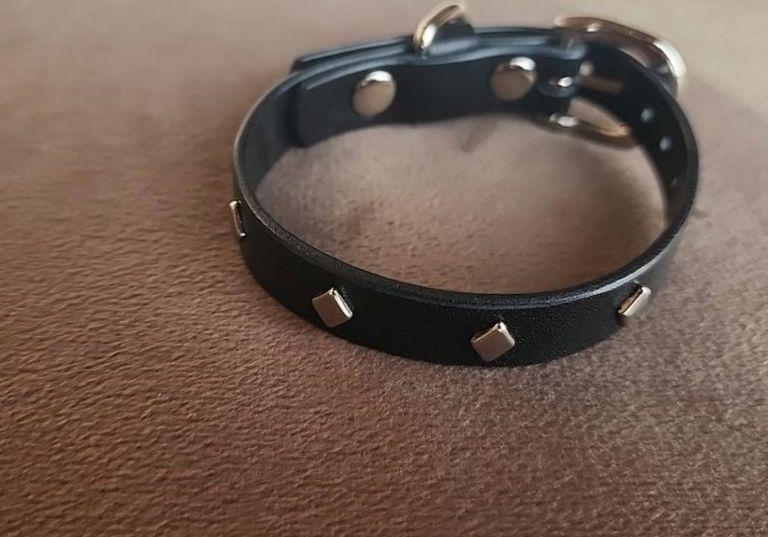 犬 小型犬 首輪 牛革 SS-Sサイズ 新品