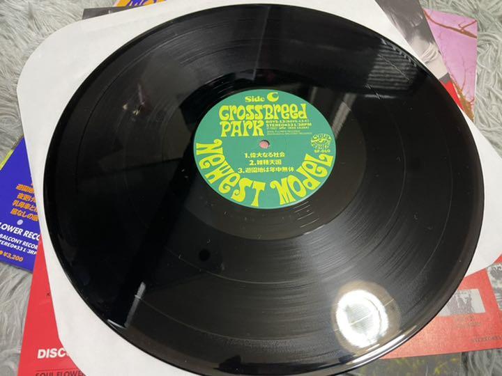 ニューエスト・モデル クロスブリード・パーク LP 販売正本 邦楽