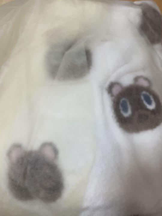 お買い得新品 ジェラートピケ×どうぶつの森 つぶまめジャガードパーカ&ショートパンツSET rMp8L-m80641487326 国産通販