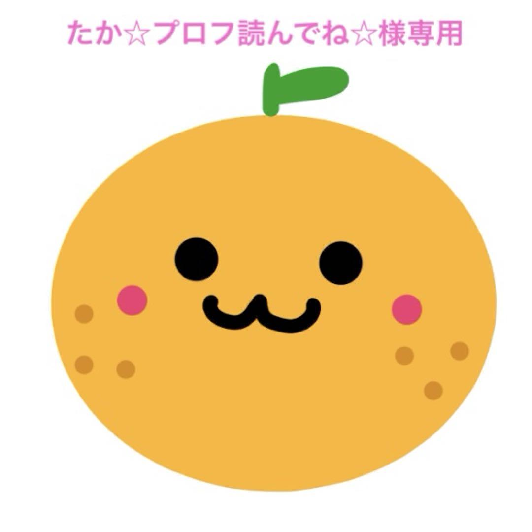 たか☆プロフ読んでね☆様専用ページ