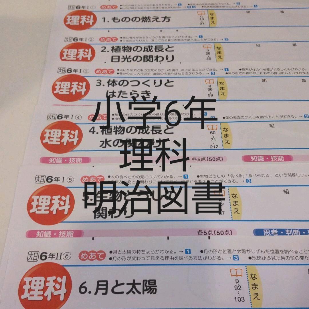 格安人気 小学校6年 理科 カラーテスト 大日本図書 明治図書 参考書 Www We Job Com