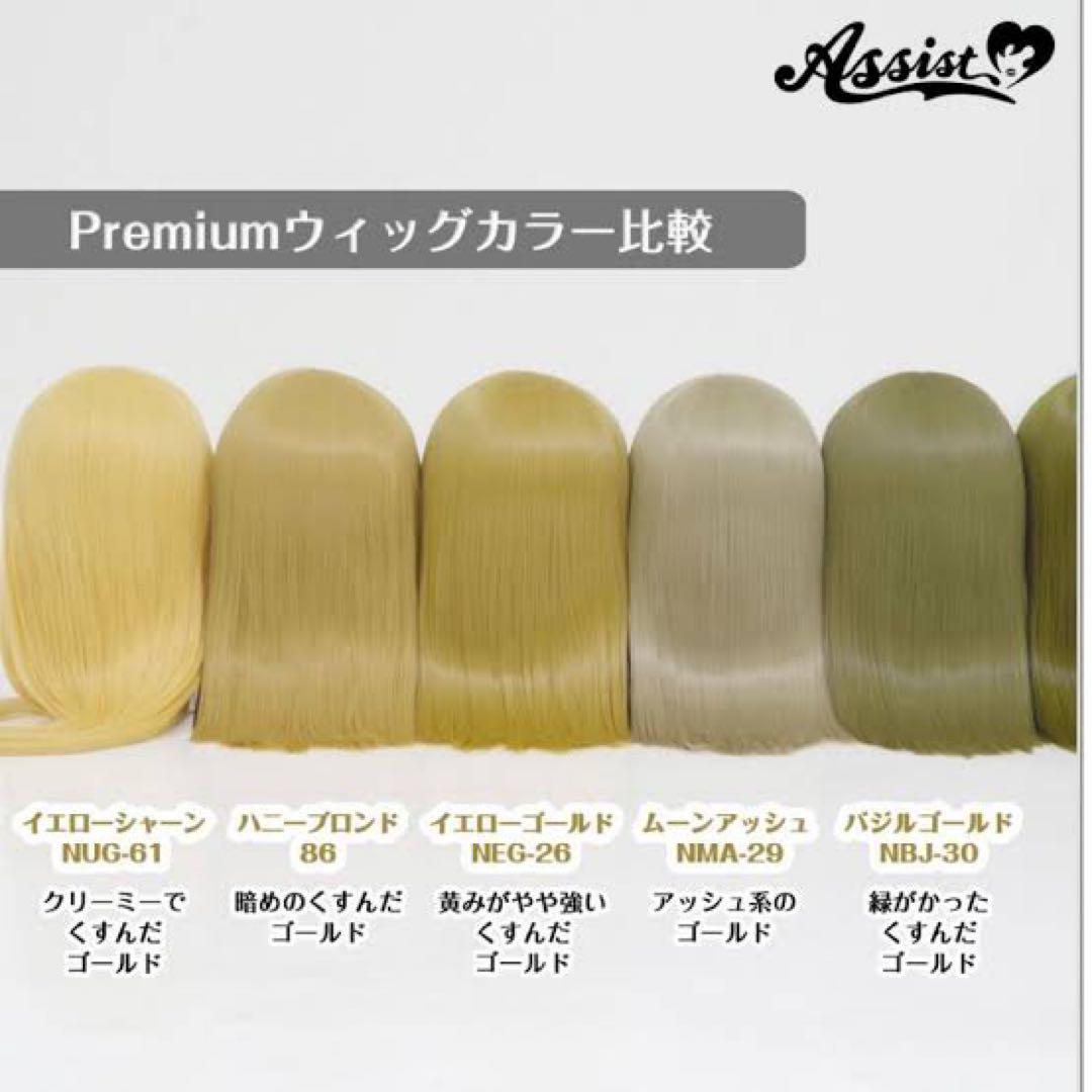 Dハロ仮装　アリスイメージウィッグ