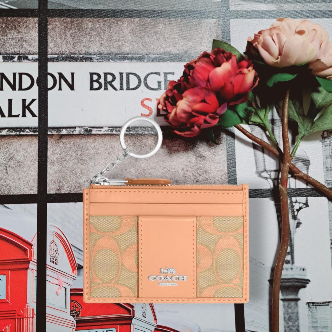 COACH コーチ ミニ スキニー ID ケース・シグネチャー ジャ