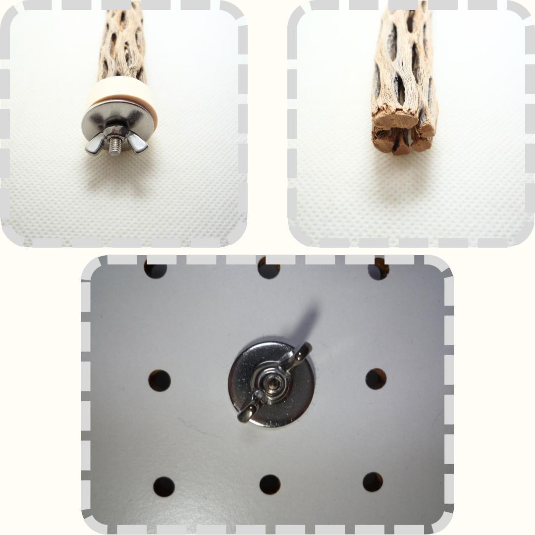 YDW　カクタス　スケルトン　パーチ　小さめ　No.368、370、371