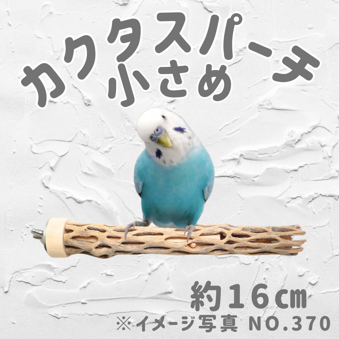 YDW　カクタス　スケルトン　パーチ　小さめ　No.368、370、371