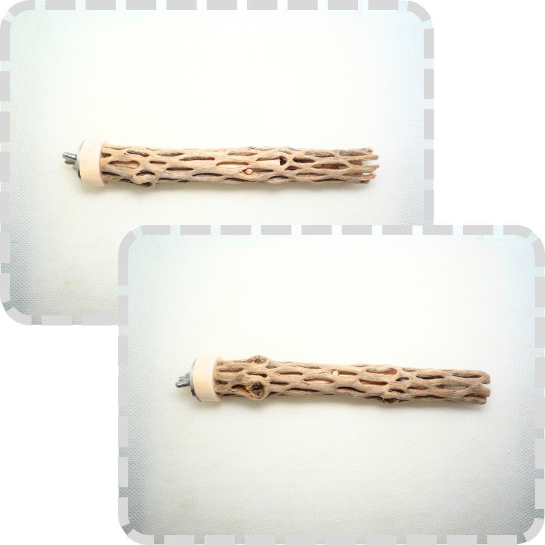 YDW　カクタス　スケルトン　パーチ　小さめ　No.368、370、371