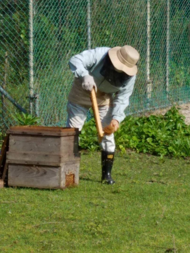 完熟 生蜂蜜　国産蜂蜜 純粋蜂蜜 無添加　非加熱　600グラムを6本