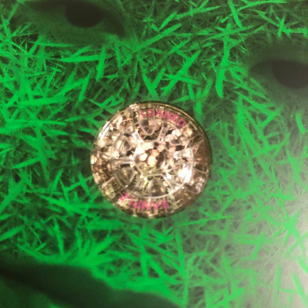 邦楽 CD コレクション 多数　洋楽　くるり　スーパーカー　他 superstar くるり - メルカリ