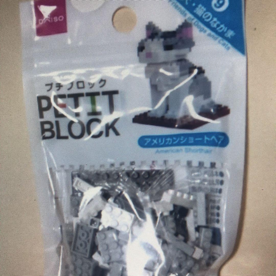 PETIT BLOCK アメリカンショートヘア
