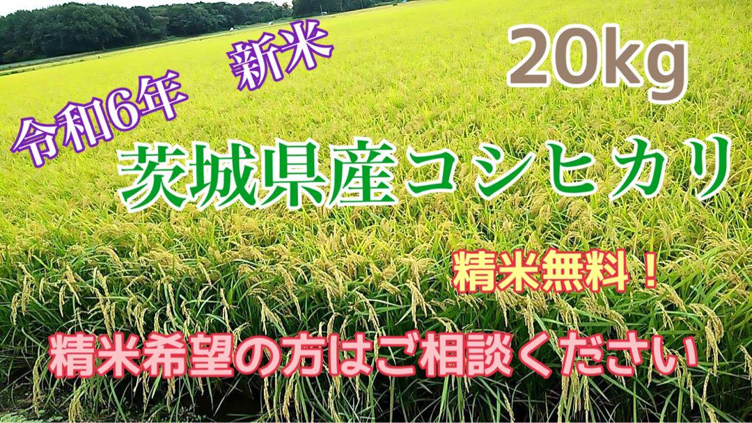 令和6年新米 茨城県産コシヒカリ 玄米20kg 精米無料 農家直販