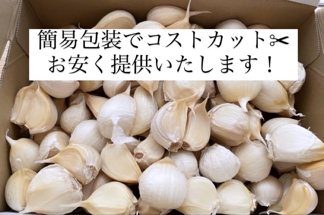 そうや 10kg