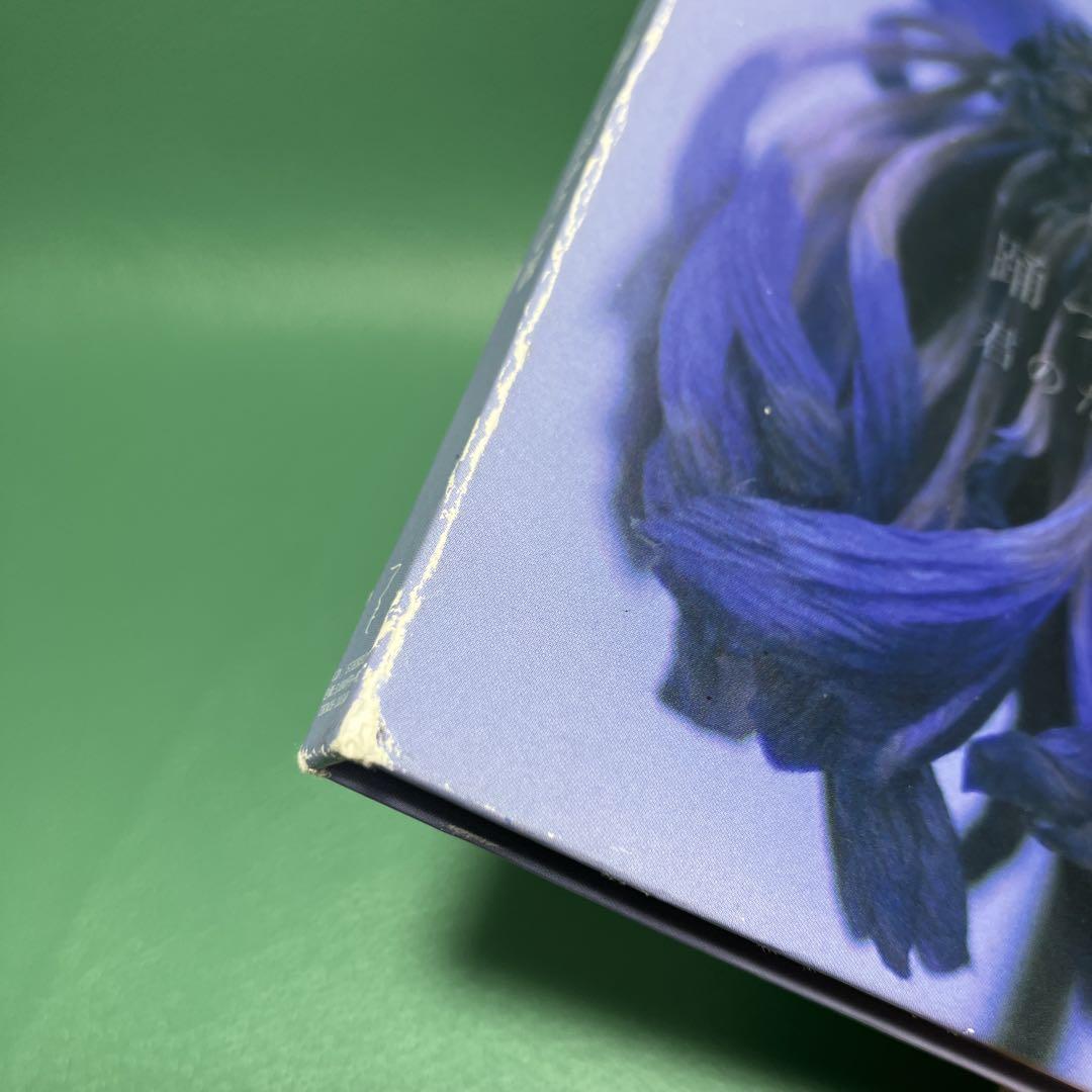 ■[廃盤] 踊ってばかりの国 アルバムCD「君のために生きていくね」■下津光史