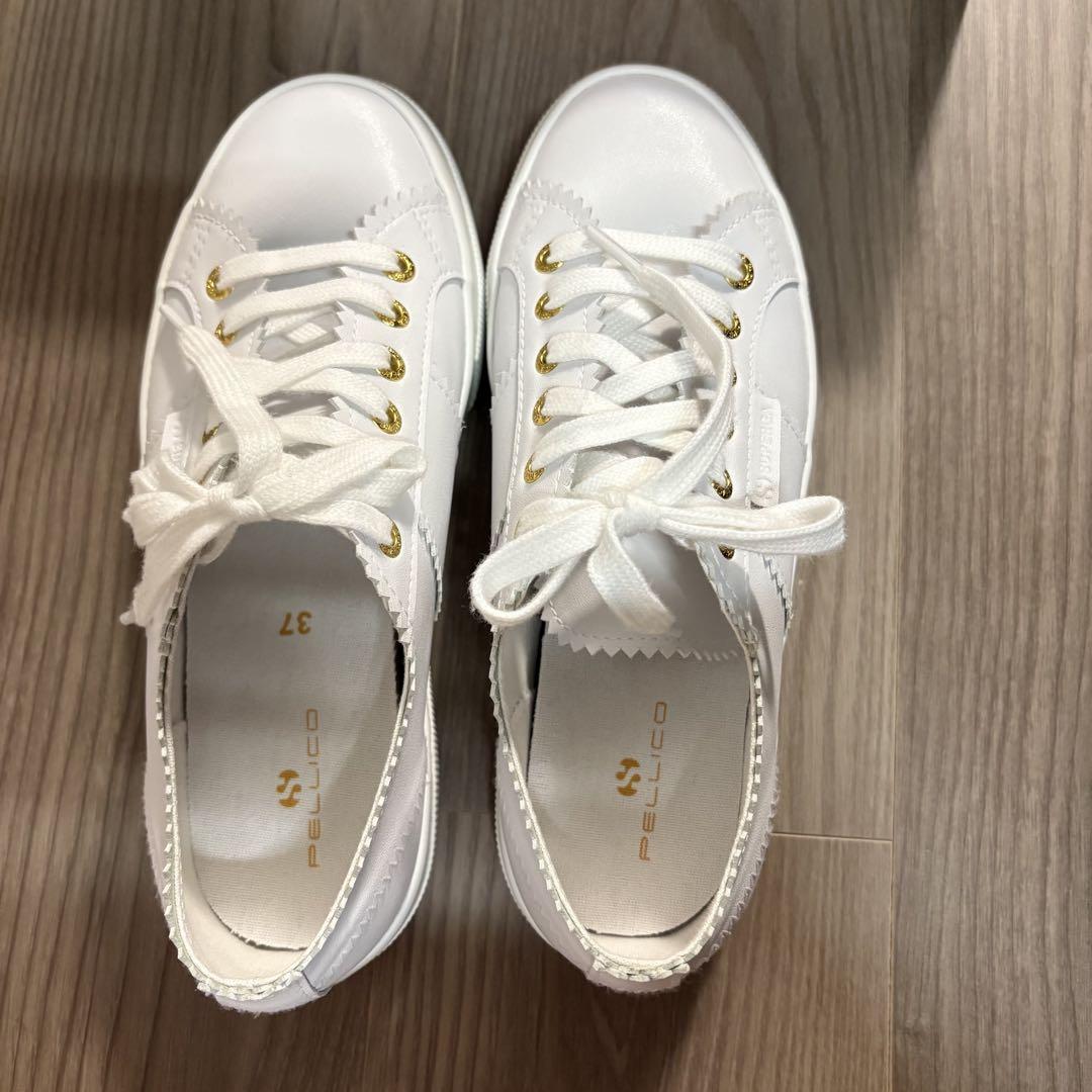 PELLICO×SUPERGA 最新コラボスニーカー - メルカリ