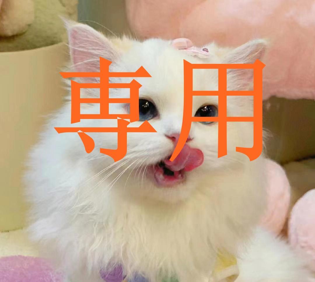 にゃろ様専用