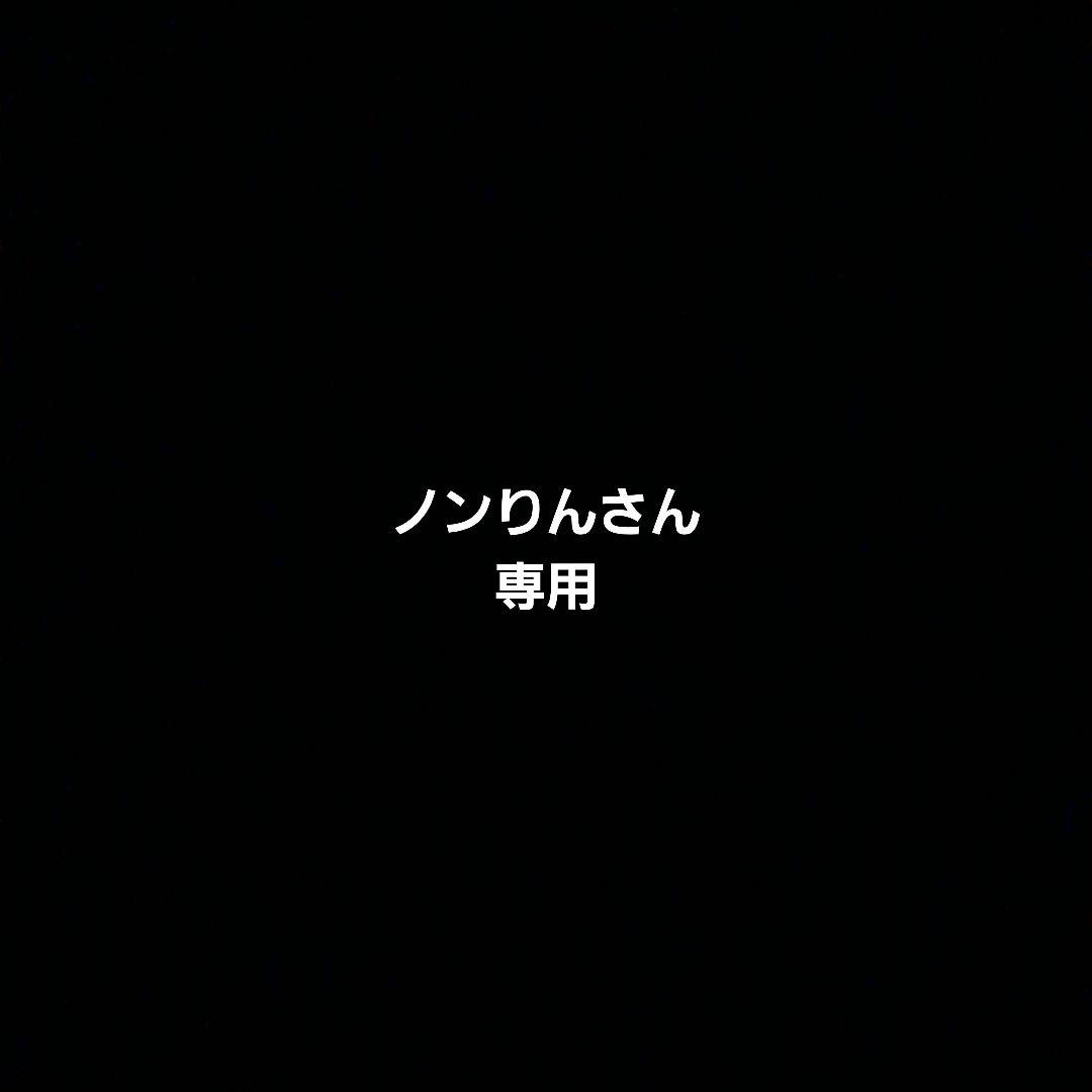 ノンりんさん専用