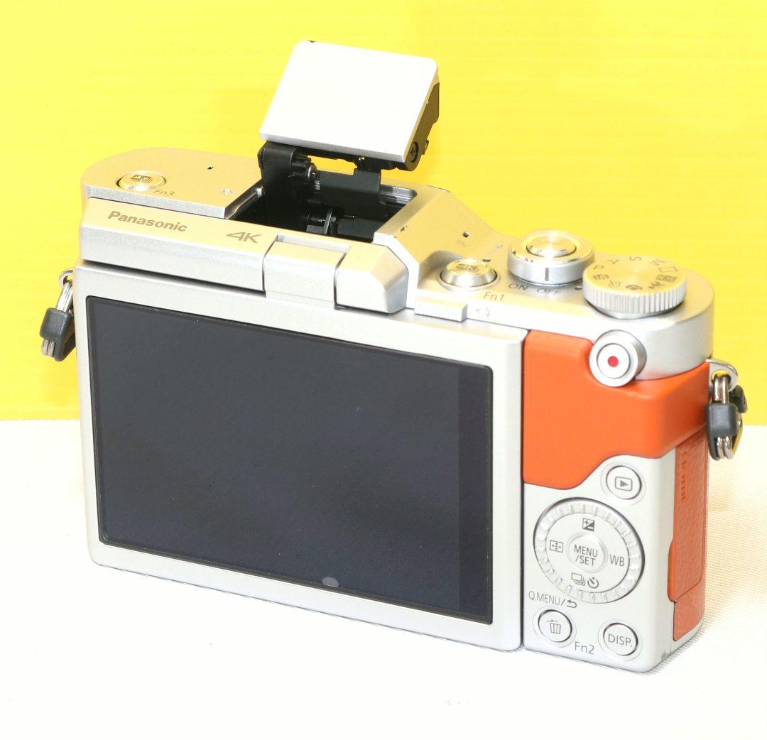 ⭐Panasonic Lumix GF 9 ボディ⭐ブラウン⭐送料無料❤️