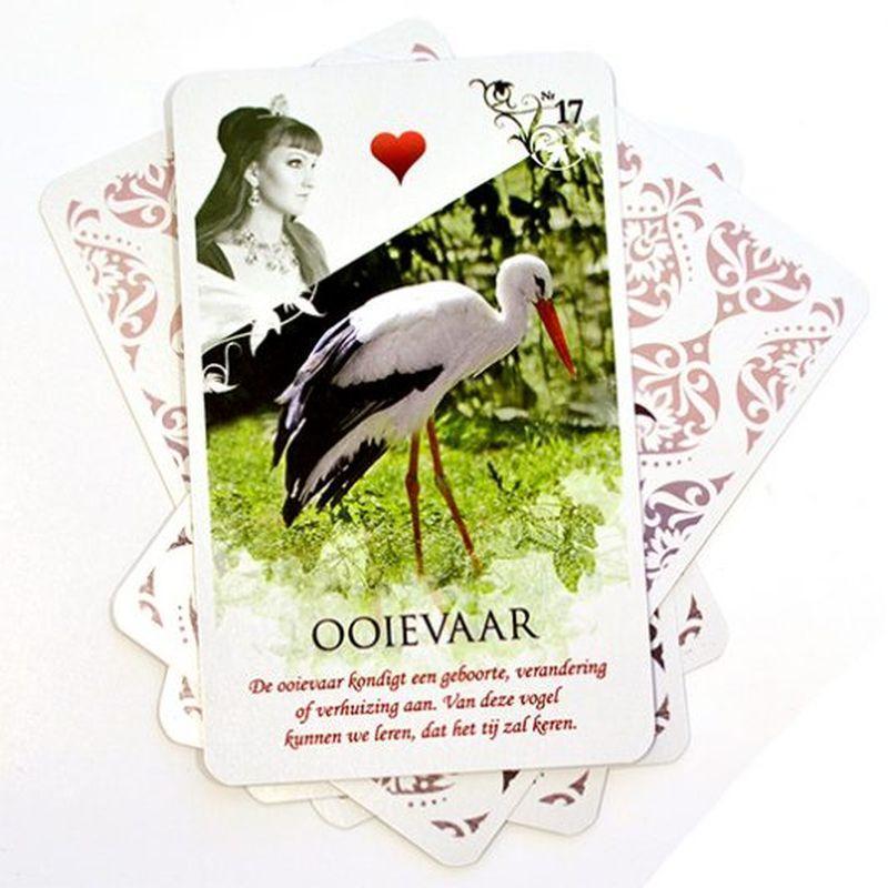 大型セールや時期 正規品ルノルマンカード】入手困難 Viona's Lenormand ヴィオナ 趣味・スポーツ・実用