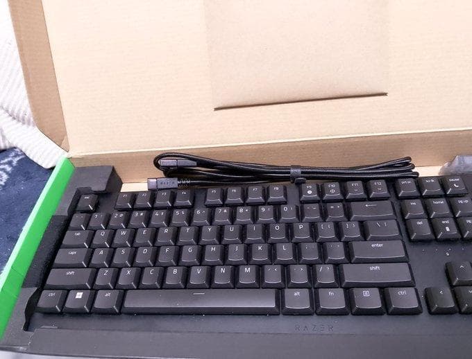 ツッカー様専用です ツッカー様専用ページ ビカクシダ ベイチー系9種セット