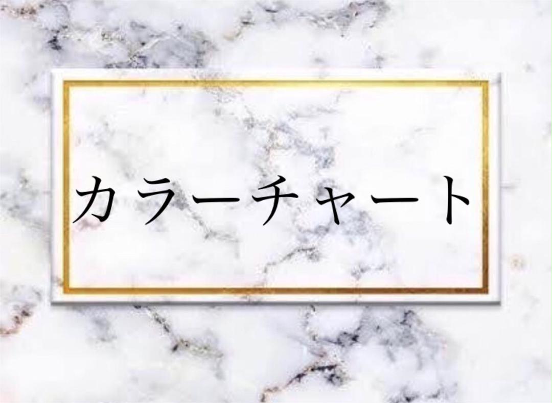 SA_nail カラーチャート