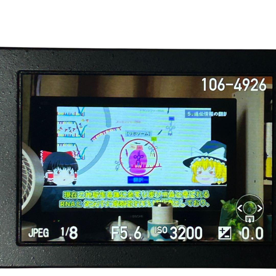 PENTAX ペンタックス K-S2 レンズキット　シャッター回数5000回