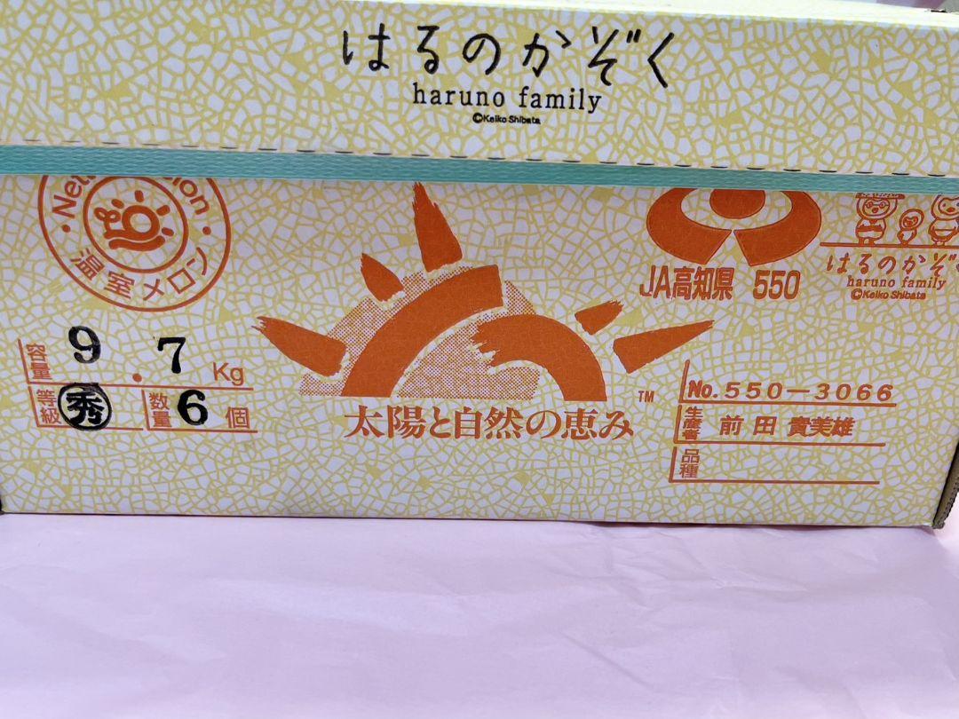 高知の赤肉メロン2玉化粧箱に詰めて!　3000gあっぷ