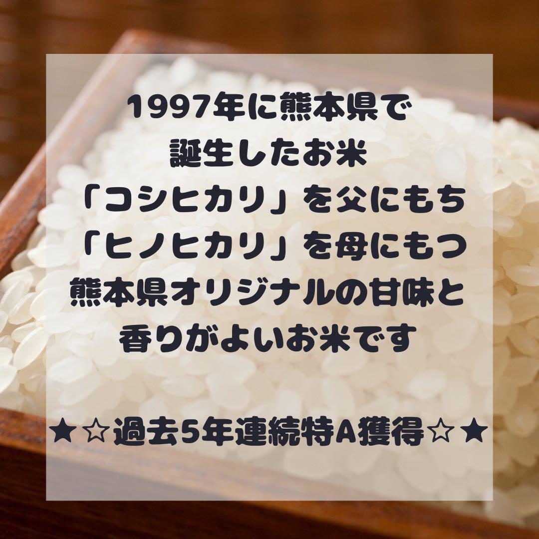 令和6年産　新米　自然栽培　森のくまさん5キロ　熊本県産　農家直送