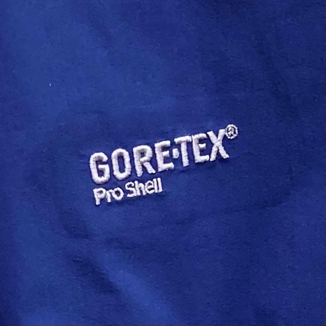 ザ ノースフェイス GORE-TEX マウンテンパーカー L サミットシリーズ