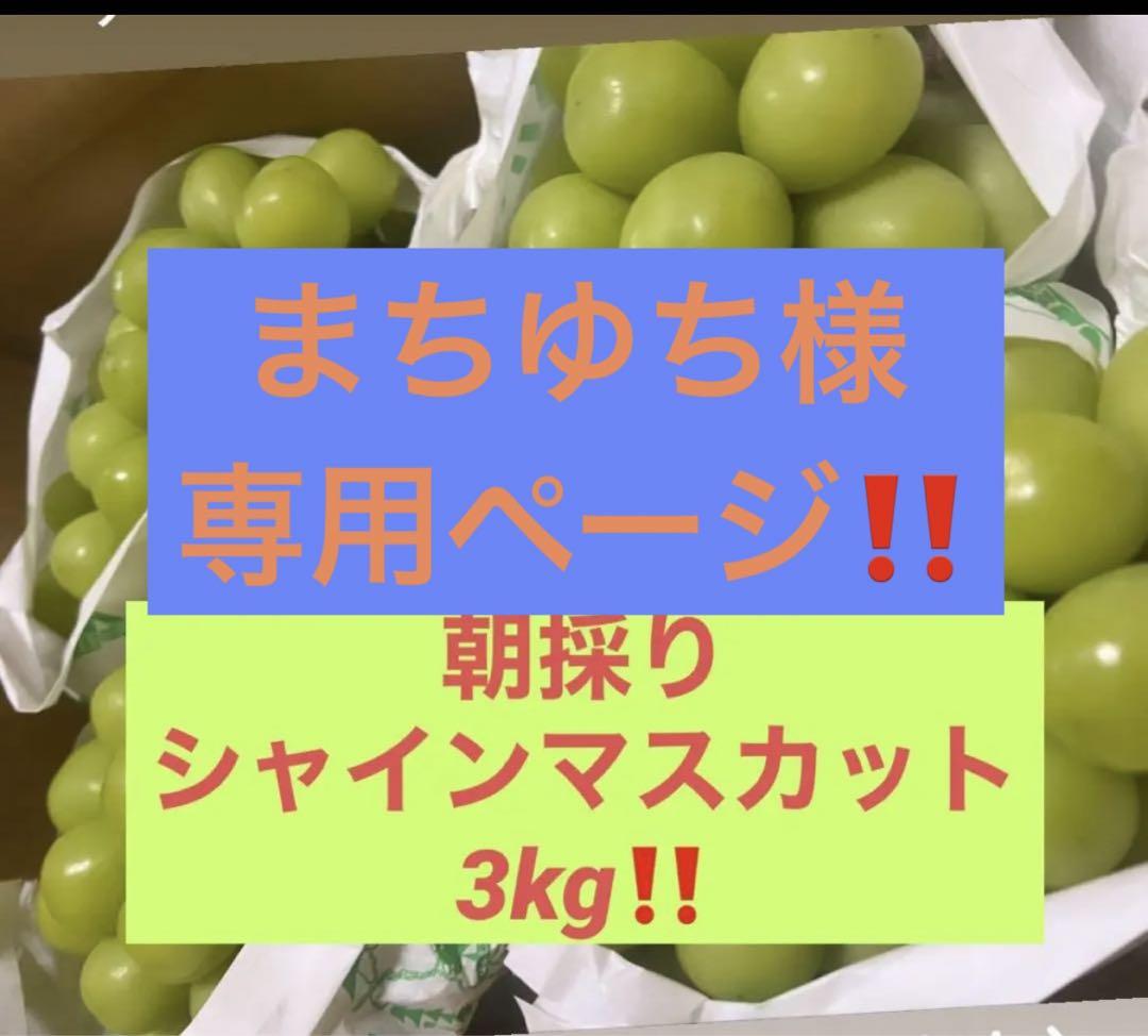 まちゆち様 専用ページ B品 2箱